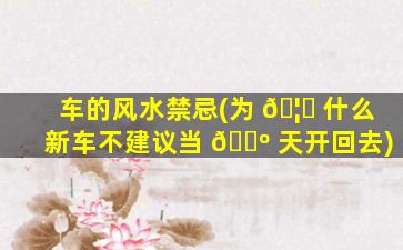 车的风水禁忌(为 🦉 什么新车不建议当 🌺 天开回去)